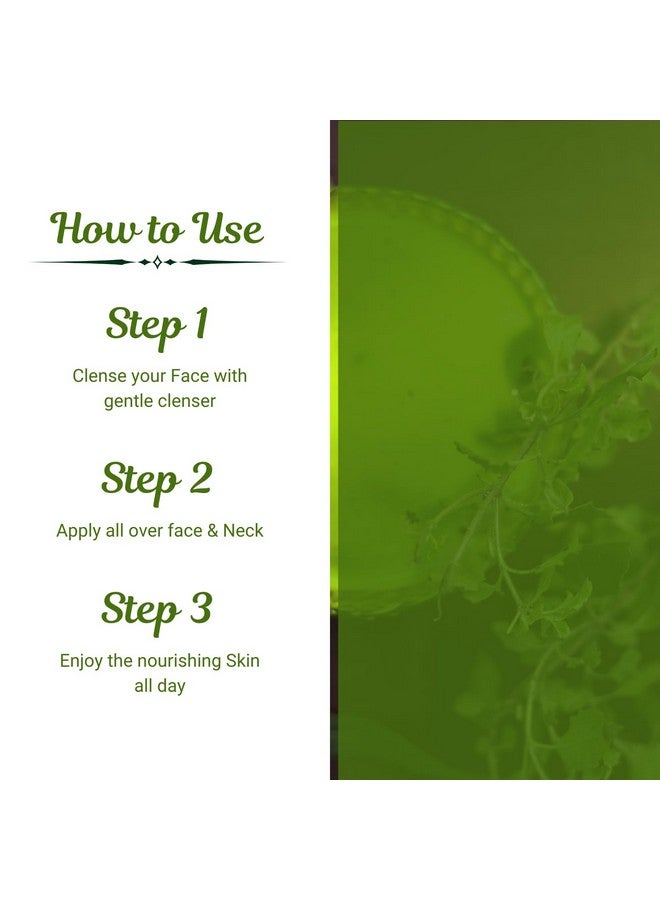 PKC 100% Natural Moiturizing Lotion With Almond & Honey | Deep Natural Hydration & Nourishment | For All Skin Types - Image 4