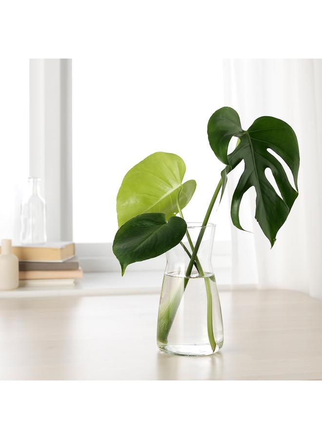 Zaboon Carafe, clear glass, 1.0 l - Image 3