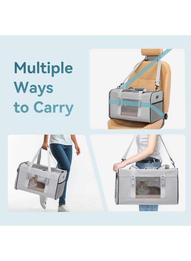 Petsfit Petsfit Travel Pet Carrier for Large Cats (up to 20 lbs), Soft-Sided Dog Car Travel Carrier with Patented Buckle and Soft Padding, Ideal for Car Road Trips,19X12X12 Inch,Gray  - Image 3
