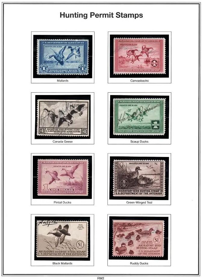 Showgard Strip Style Black Stamp Mounts Size 39 by Showgard - Image 3