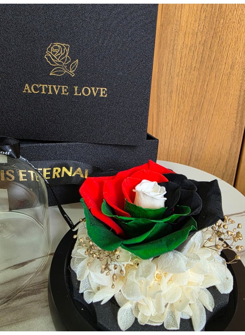 فلاور زهرة علم الإمارات العربية المتحدة المحفوظة بالألوان - قبة زهرة الوردة الأبدية الفاخرة مع إضاءة LED - Image 5