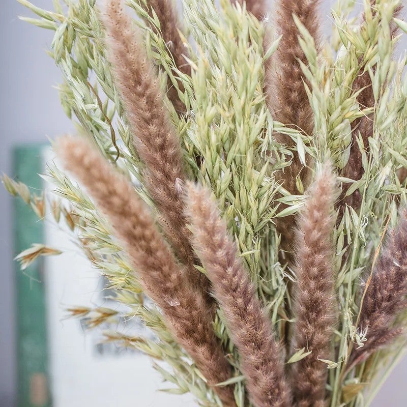 Bluejw Pampas Grass Bouquet - Dried Flowers, Bunny Tails, Gypsophilia, Sword Fern, Italian Ruscus, Straw, Natural Dried Plants - Boho Decor, Babies Breath - Opp Bag - Image 1