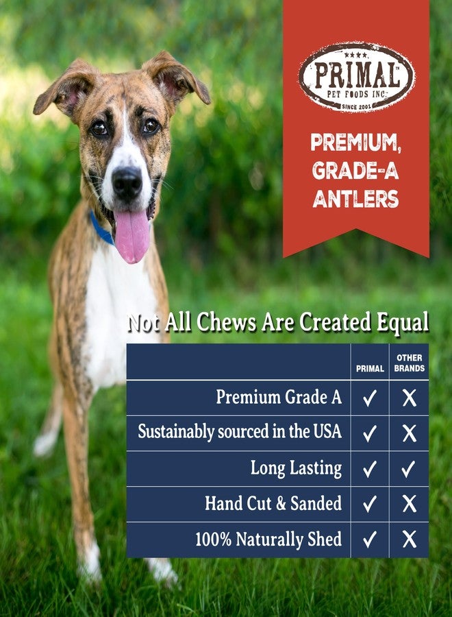Primal Pet Foods Primal Antlers for Dogs, Grade A Split Elk Antlers for Medium Canines 15-30 lb, Natural Chews for Aggressive Chewers, Naturally Shed, Long Lasting Dog Bones, 1 ct - Image 5