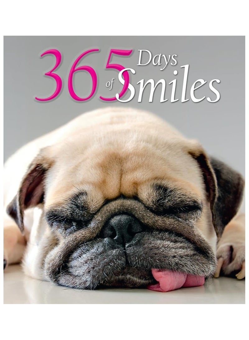 365 Days Of Smiles 