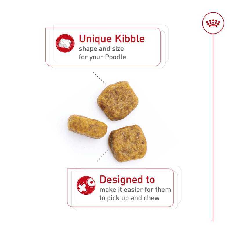 Royal Canin Breed Health Nutrition Poodle Adult Dry Dog Food, 2.5 lb Bag - Image 2