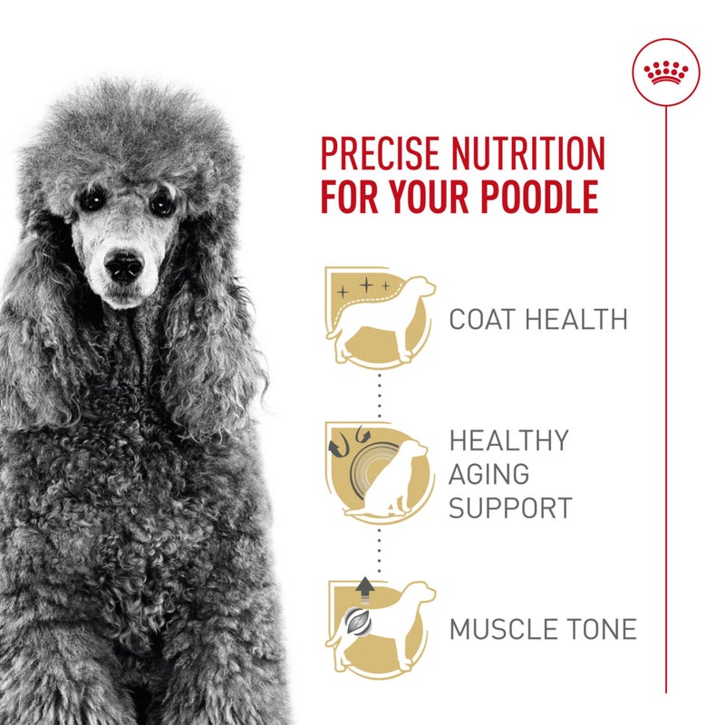 Royal Canin Breed Health Nutrition Poodle Adult Dry Dog Food, 2.5 lb Bag - Image 3