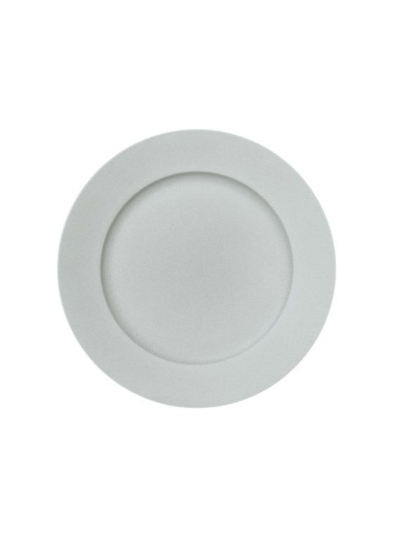 Light Grey Flat Plate Easy To Assemble 31Cm