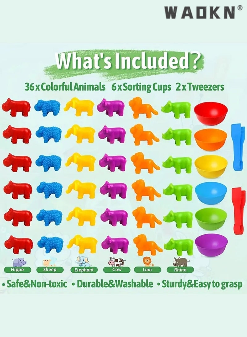 دبليو أيه أو كي أن لعبة مطابقة العد، ألعاب الفرز مع أكواب الفرز، تصنيف الألوان والتدريب الحسي، مجموعة ألعاب تعليمية لمرحلة ما قبل المدرسة، هدية للأطفال الصغار، الأولاد والبنات من سن 3 سنوات فما فوق (النقل) - Image 4