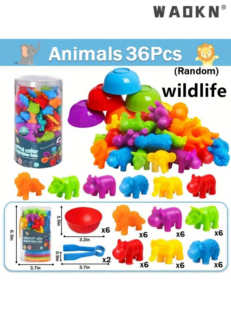 دبليو أيه أو كي أن لعبة مطابقة العد، ألعاب الفرز مع أكواب الفرز، تصنيف الألوان والتدريب الحسي، مجموعة ألعاب تعليمية لمرحلة ما قبل المدرسة، هدية للأطفال الصغار، الأولاد والبنات من سن 3 سنوات فما فوق (النقل) - Image 3