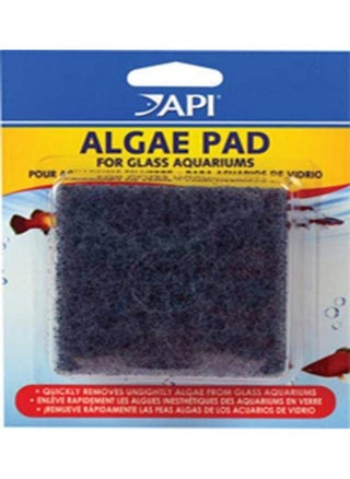 API HAND HELD ALGAE PAD For Glass Aquariums 1-Count Container - pzsku/ZAD01A0BF5BCE2BD7D282Z/45/1747372205/bd4ca85a-d287-4215-9b52-2b71206941c0