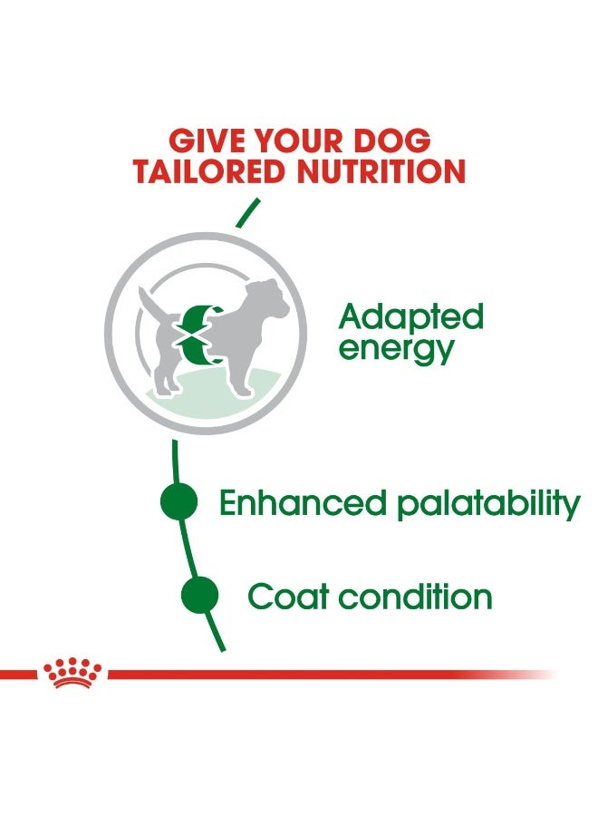 رويال كانين حجم التغذية الصحية للبالغين الصغار 800 جرام - Image 3