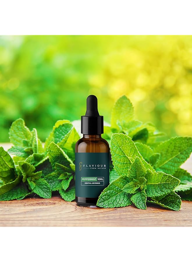erorex Flavor Peppermint Essential Oil Pure And Natural For Refreshing Mind And Body Hair Fall Control Healthy Scalp Improves Skin Radiance Aromatherapy 10Ml Pack Of 1 Mentha Piperita  - Image 2