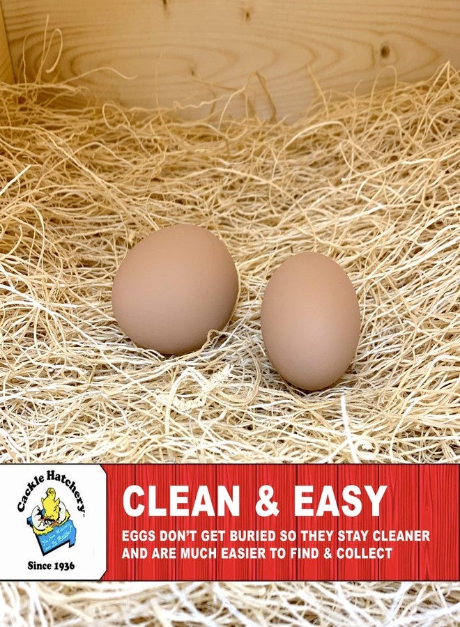 Cackle Hatchery بطانات صندوق تعشيش دجاجة كاكل بياضة مصنوعة في الولايات المتحدة الأمريكية من خشب أسبن إكسيلير المستدام - بطانات صندوق التعشيش 13x13 (عبوة من 6 قطع) - Image 2