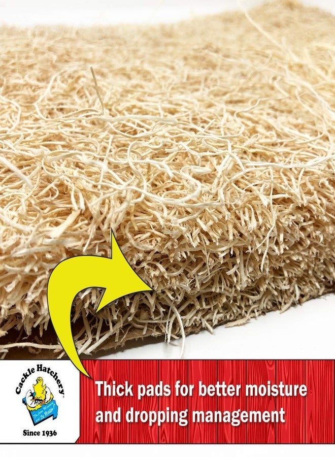 Cackle Hatchery بطانات صندوق تعشيش دجاجة كاكل بياضة مصنوعة في الولايات المتحدة الأمريكية من خشب أسبن إكسيلير المستدام - بطانات صندوق التعشيش 13x13 (عبوة من 6 قطع) - Image 3