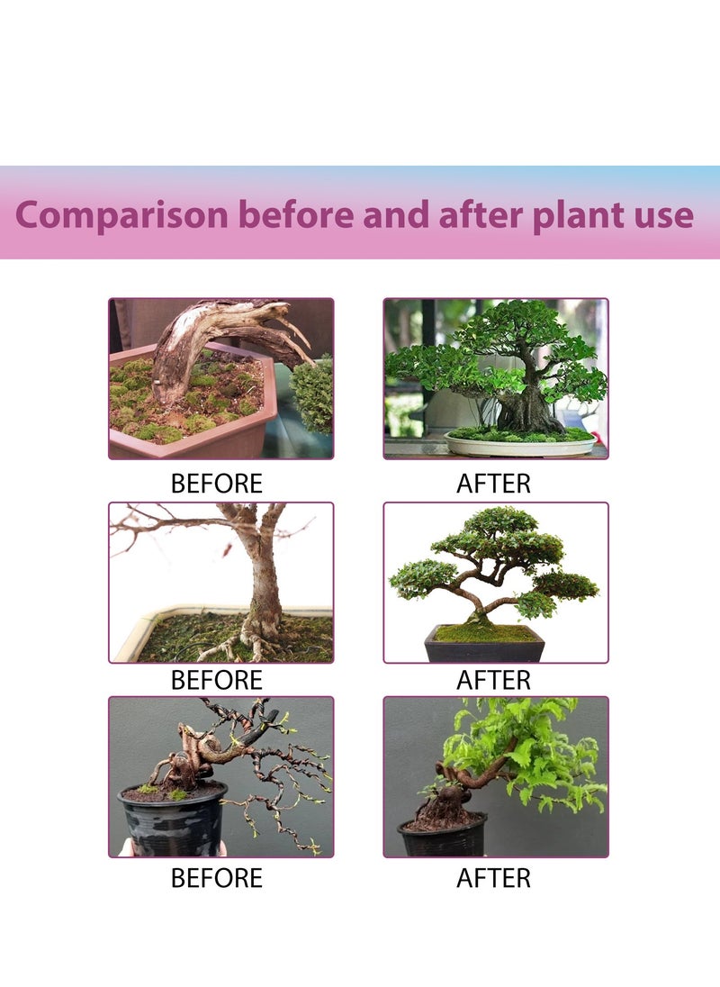 MOONSPRY Liquid Fertilizer Spray for Bonsai Trees,Fertilizer For Indoor And Outdoor Flowers, Vegetables Or Trees  - Image 4