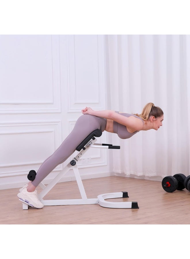 XiuWoo Roman Chair,Back Extension Bench,Multi Functional Ab Bench, Hyperextension Bench Abdominal Exercise, Leg Strength Trainer Home Men Women Full Body - Image 5