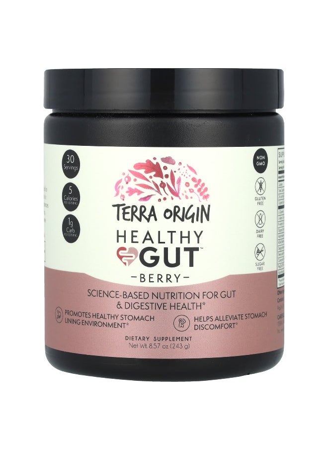 Terra Origin - Terra Origin, Healthy Gut™, Berry, 8.57 oz (243 g) - Image 1