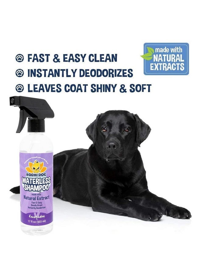 Bodhi Dog - Waterless Shampoo | Natural Dry Shampoo For Dogs Or Cats | Neutralizes Pet Odor | No Rinse Required | Made With Natural Extracts | Vet Approved Made In Usa (Lavender, 17 Fl Oz) - Image 1