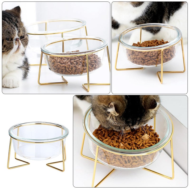 Tilted Pet Food Bowl with Glass Dish and Metal Stand 800ml 17 8cm for Cats and Dogs - Image 4