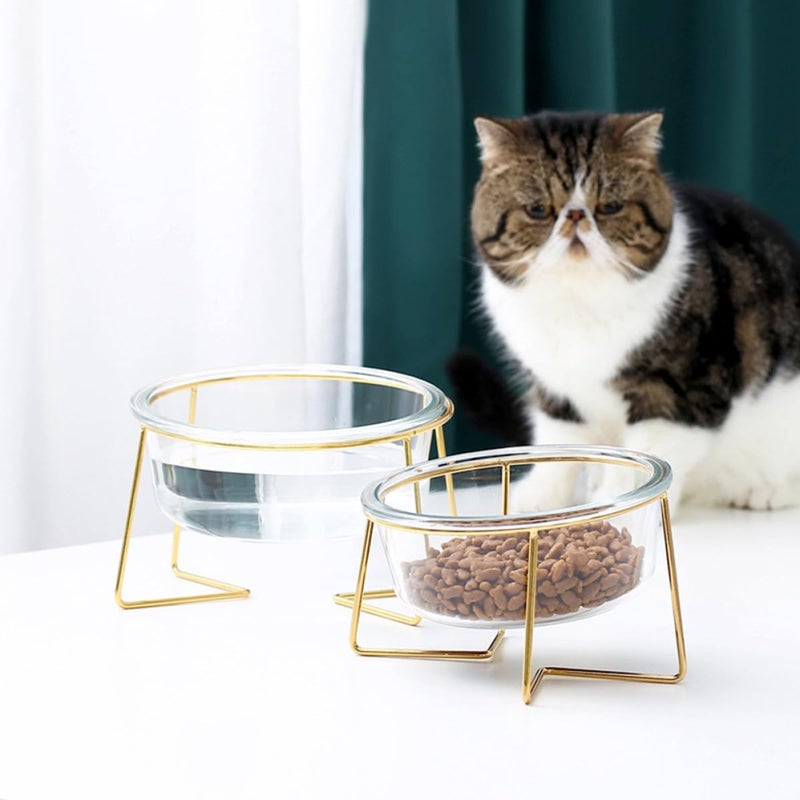 Tilted Pet Food Bowl with Glass Dish and Metal Stand 800ml 17 8cm for Cats and Dogs - Image 5