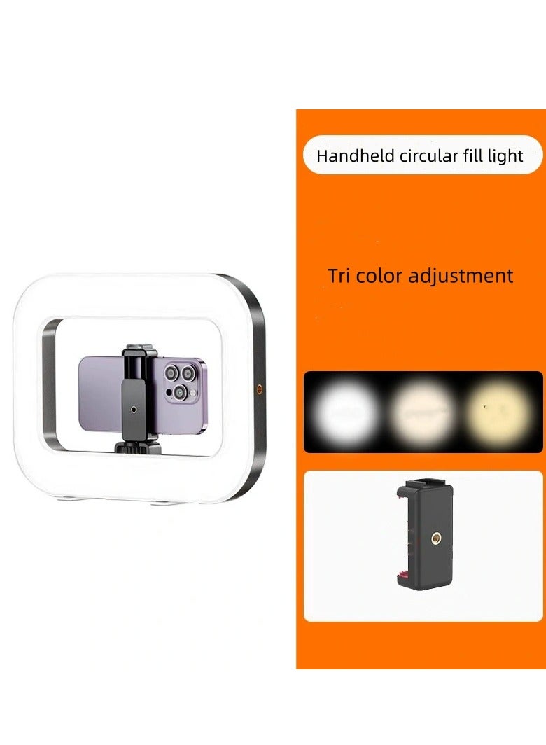 Loquat LED Video Light Kit,2500K-8500K 20W Photography Studio Light with Phone Holder for Video Recording, Game Streaming - Image 1