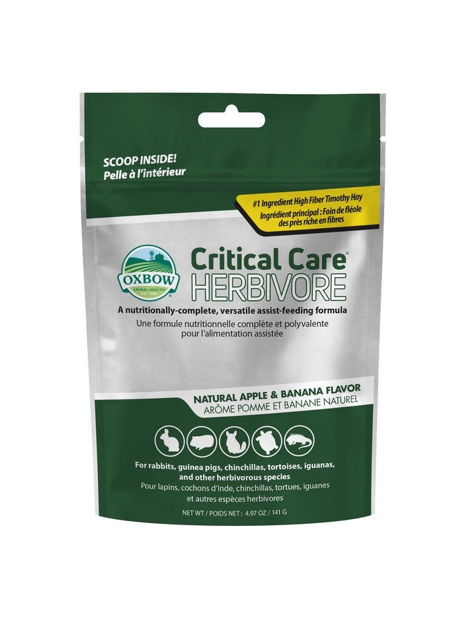 Oxbow Critical Care Herbivore, Emergency Guinea Pig Food, Rabbit Food for Recovery, Natural Apple Banana Flavor, Veterinary Formula, Critical Care for Guinea Pig Emergency Kit, 141 Grams - Image 1