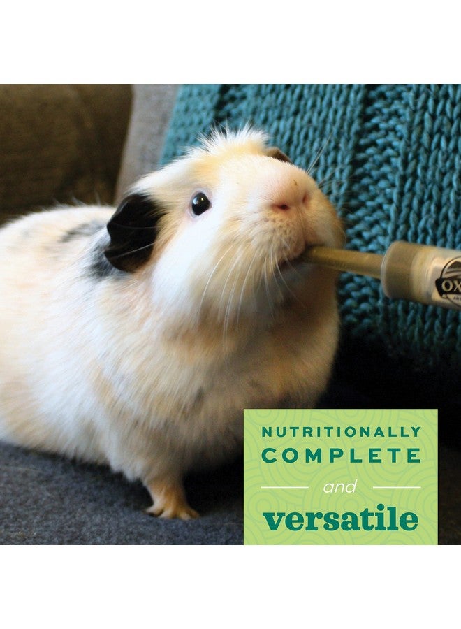 Oxbow Critical Care Herbivore, Emergency Guinea Pig Food, Rabbit Food for Recovery, Natural Apple Banana Flavor, Veterinary Formula, Critical Care for Guinea Pig Emergency Kit, 141 Grams - Image 2