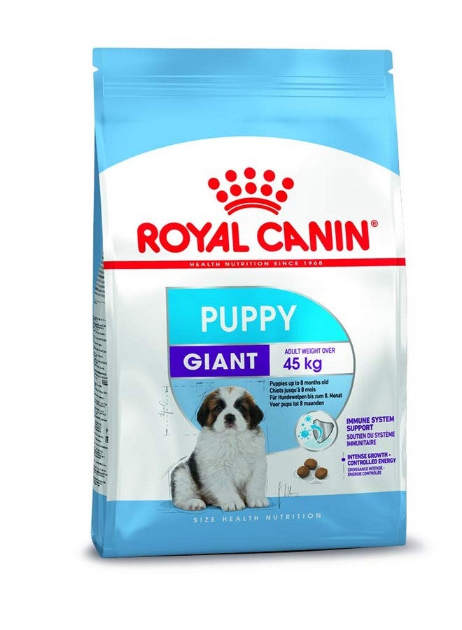 ROYAL CANIN طعام جاف للكلاب الجراء العملاقة، نكهة اللحم، 1 كجم - Image 1