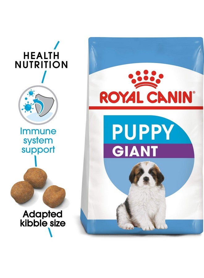 ROYAL CANIN طعام جاف للكلاب الجراء العملاقة، نكهة اللحم، 1 كجم - Image 2