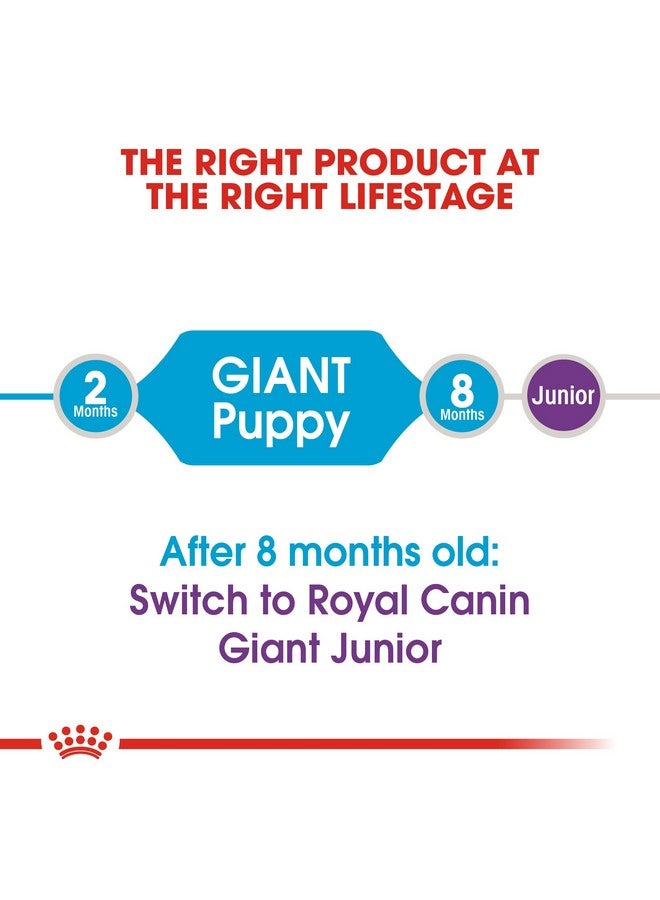 ROYAL CANIN طعام جاف للكلاب الجراء العملاقة، نكهة اللحم، 1 كجم - Image 3