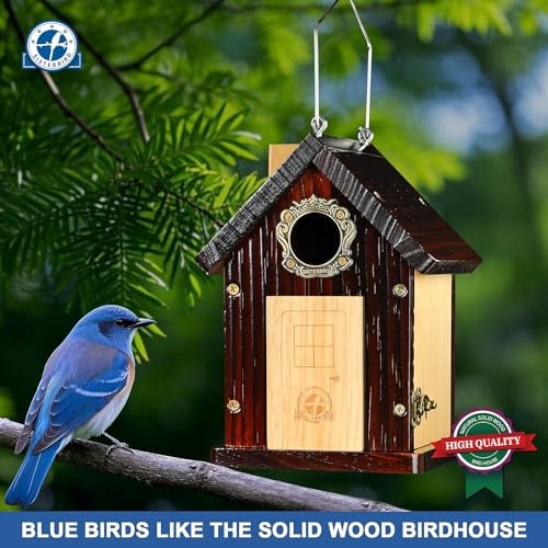 SISTERBIRD Pack of 2 Premium Bluebird Houses for Outside All Seaons Bird Houses for Outside Wooden Cabin Birdhouses for Outdoors Weatherproof Courtyard Decorated Hanging Bird House - Image 3