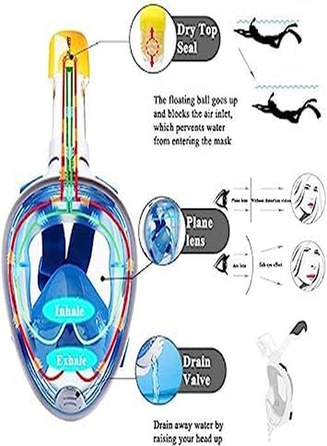 VBM Full Face Snorkeling Mask, Easy to Breathe for Adults and Children 180° Panoramic Anti-Fog and Leak-Proof Diving Mask - Image 4