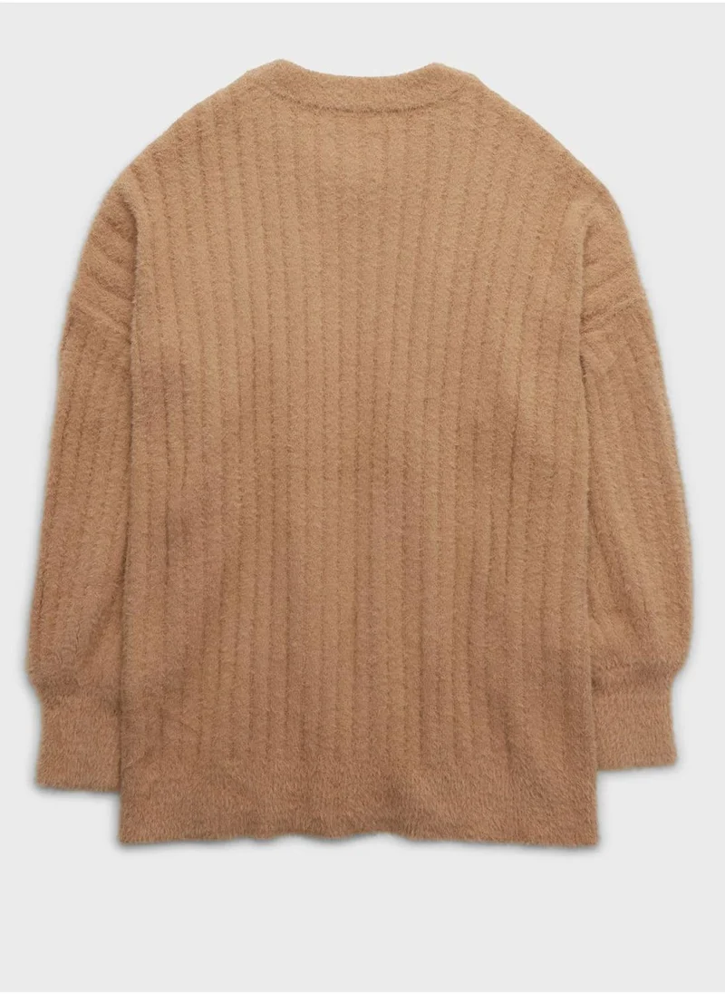 Aerie Crew Neck Knitted Sweater