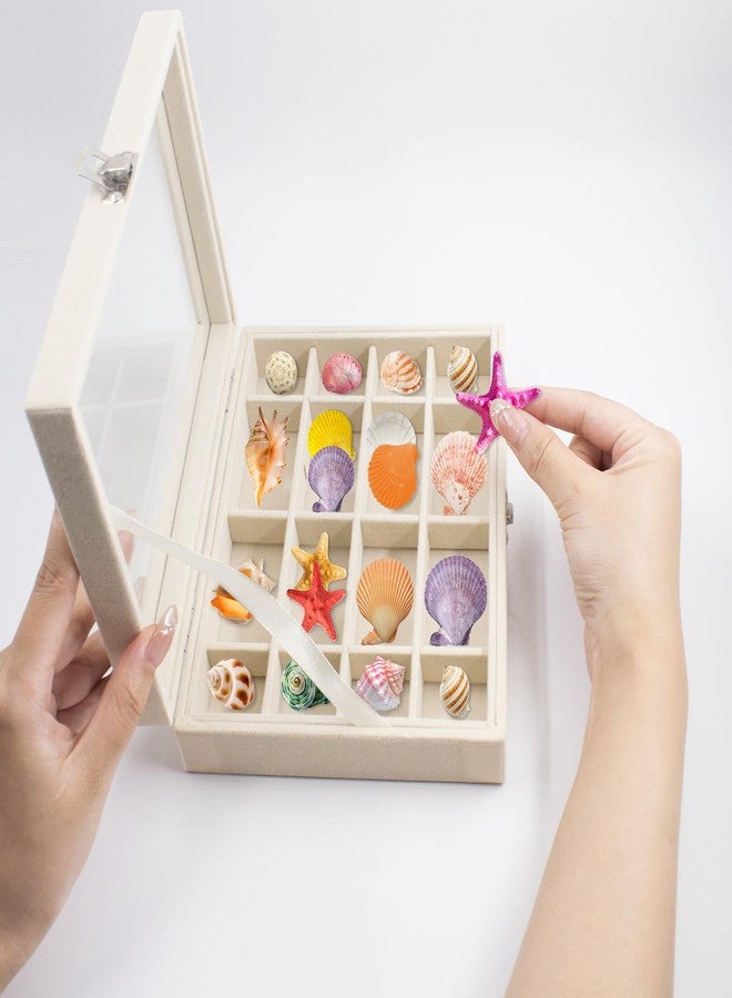 SnowTing 2 PCS Shell Shadow Box, Flocked Memory Storage Case with 12 & 24 Grids, Jewelry Organizer Box for Seashell, Rocks, Gems, Crystals, Souvenirs, Beads, 7.87 x 5.9 x 1.77 Inch - Image 1