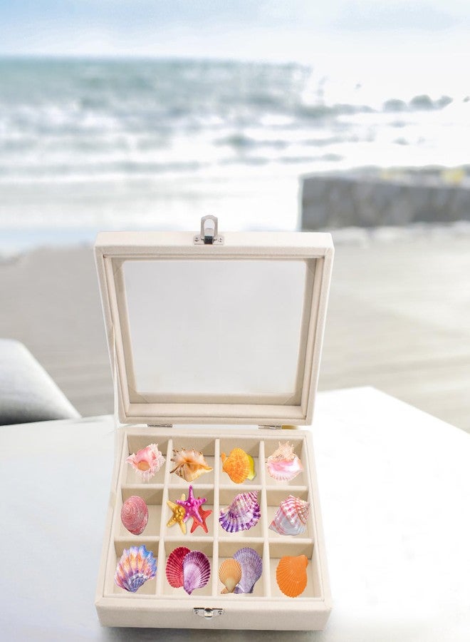 SnowTing 2 PCS Shell Shadow Box, Flocked Memory Storage Case with 12 & 24 Grids, Jewelry Organizer Box for Seashell, Rocks, Gems, Crystals, Souvenirs, Beads, 7.87 x 5.9 x 1.77 Inch - Image 5