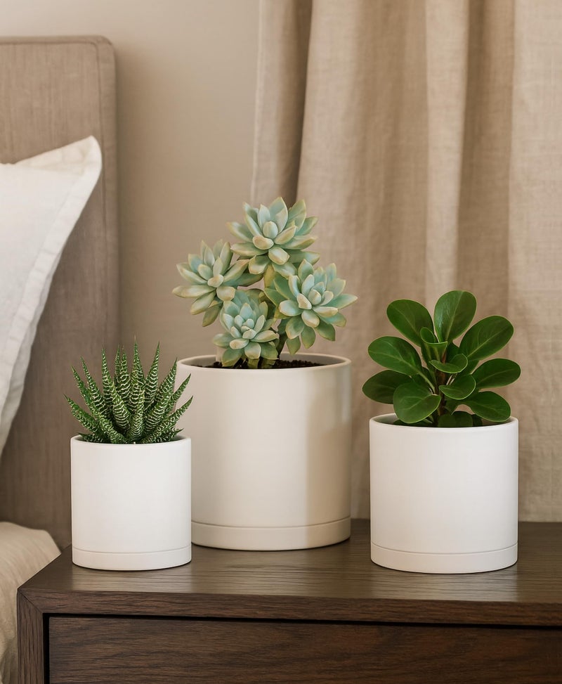 D'vine Dev 4 Inch 5 Inch 6 Inch, Set of 3 Plastic Planter Pots for Plants with Drainage Hole and Seamless Saucers, Oatmeal, Small, 74-V-H-1 - Image 5
