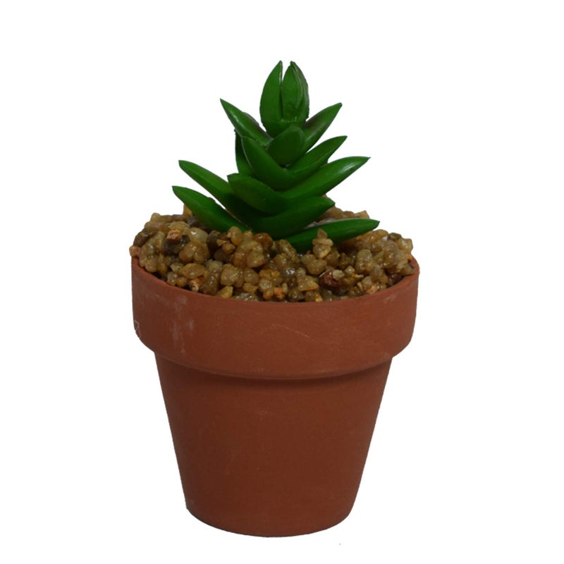NYRWANA Artificial Succulents Plant Small Potted Succulent Plants Desk Furnishings 6pc - Image 4