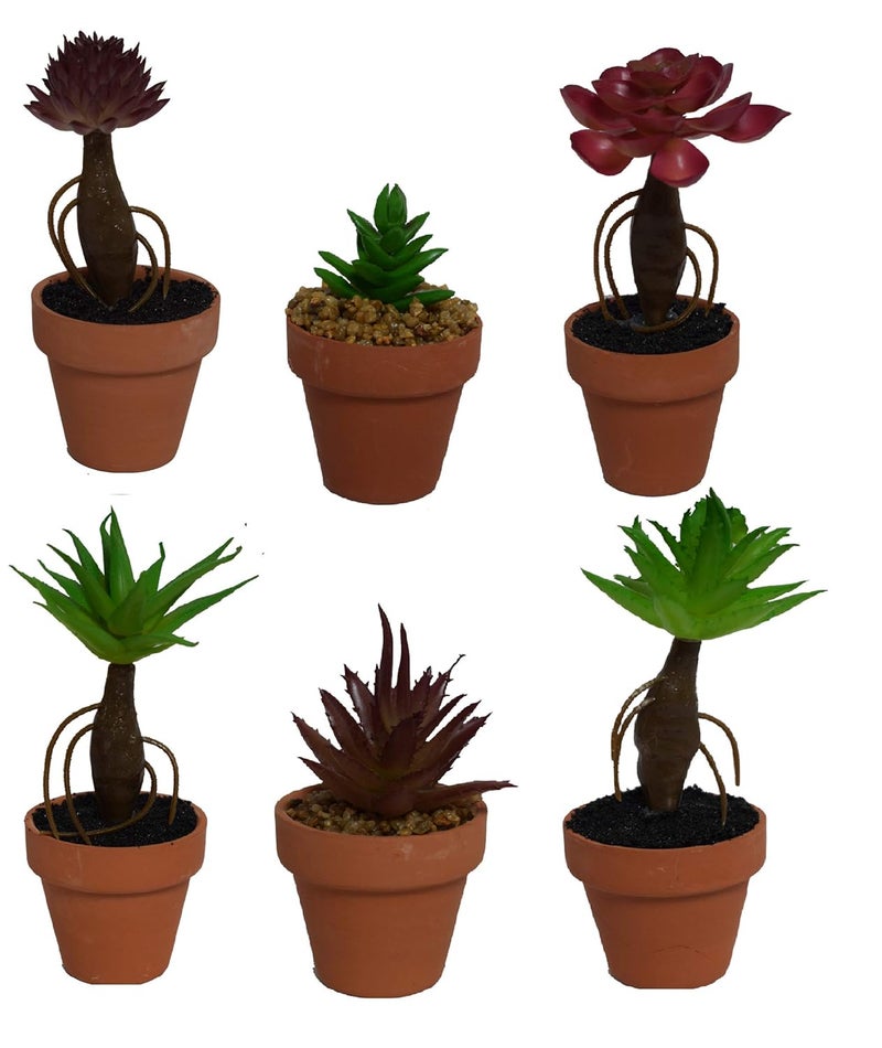 NYRWANA Artificial Succulents Plant Small Potted Succulent Plants Desk Furnishings 6pc - Image 1