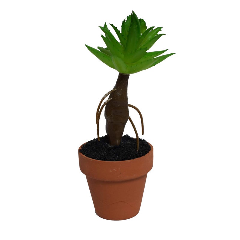 NYRWANA Artificial Succulents Plant Small Potted Succulent Plants Desk Furnishings 6pc - Image 5