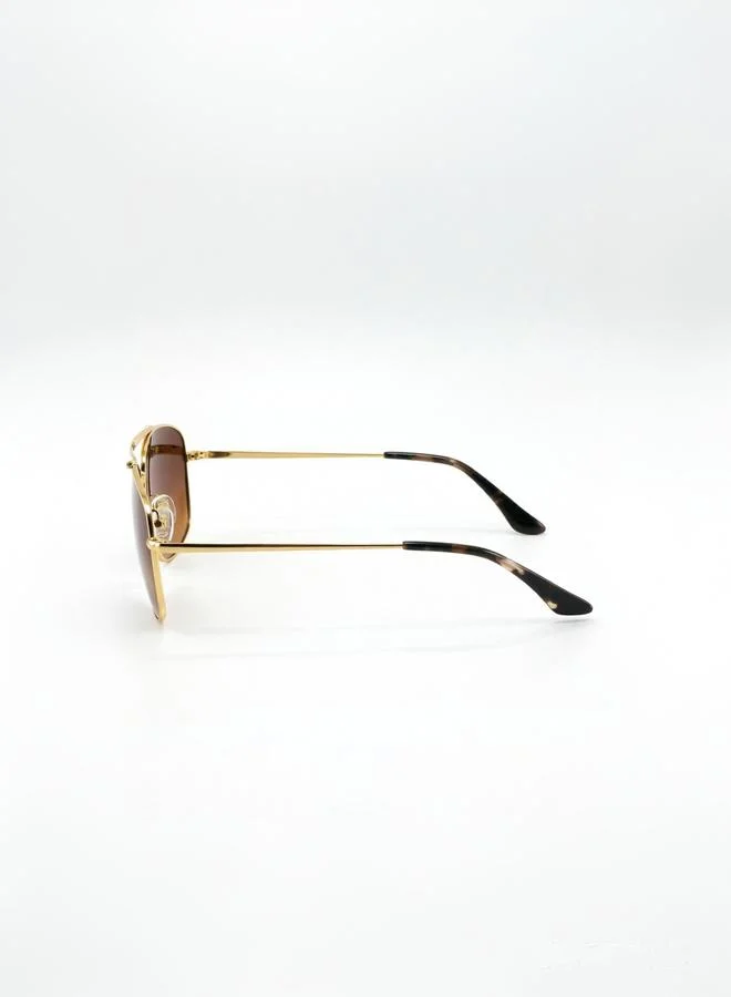تايك تو Men Gold Aviator Sunglasses With Brown Lenses