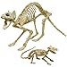 MEKBOK Halloween Decoration Skeleton Cat and Mouse Skeletons Skeleton Animal Courtyard Decoration and Reaper Skeleton Animals Skeleton Decor Suitable for Halloween IndoorOutdoor Parties - Image 4
