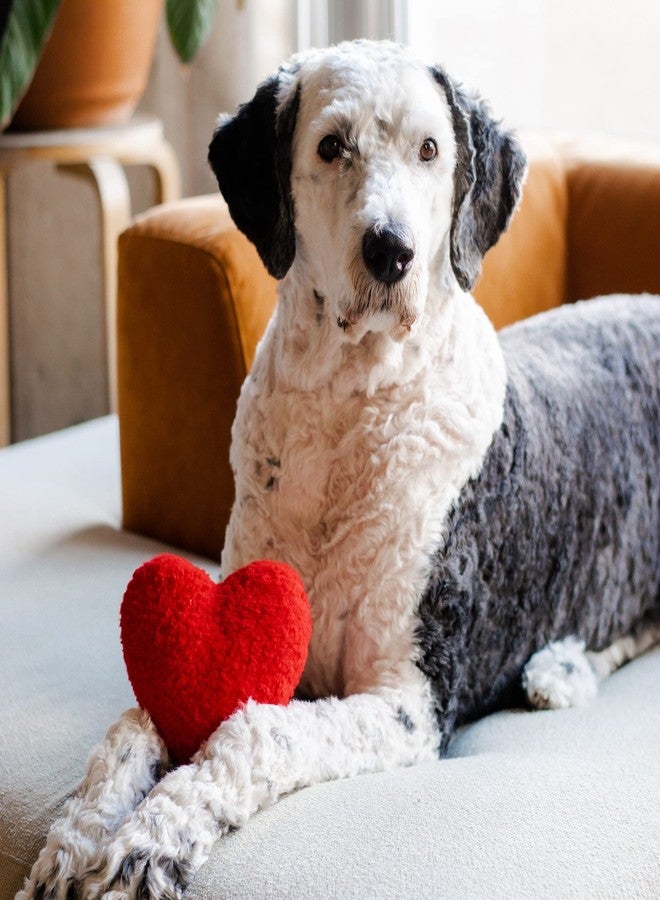 Midlee Plush Red Heart Valentine's Day Dog Toy (Large) - Image 5