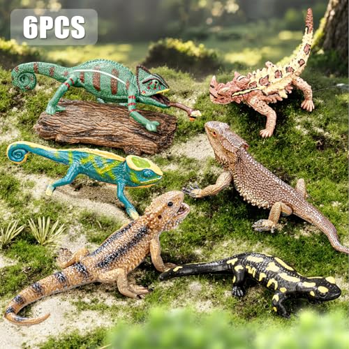 THINKBAY 6PCS Large Lizard Figurines Rainforest Animal Toys Realistic Plastic Reptile Animal Figurines Includes Bearded DragonFire SalamanderChameleonsCoast Horned Lizard Toys STEM Toy for Kids - Image 5