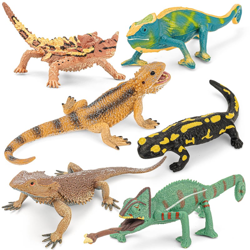 THINKBAY 6PCS Large Lizard Figurines Rainforest Animal Toys Realistic Plastic Reptile Animal Figurines Includes Bearded DragonFire SalamanderChameleonsCoast Horned Lizard Toys STEM Toy for Kids - Image 3