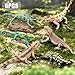 THINKBAY 6PCS Large Lizard Figurines Rainforest Animal Toys Realistic Plastic Reptile Animal Figurines Includes Bearded DragonFire SalamanderChameleonsCoast Horned Lizard Toys STEM Toy for Kids - Image 4