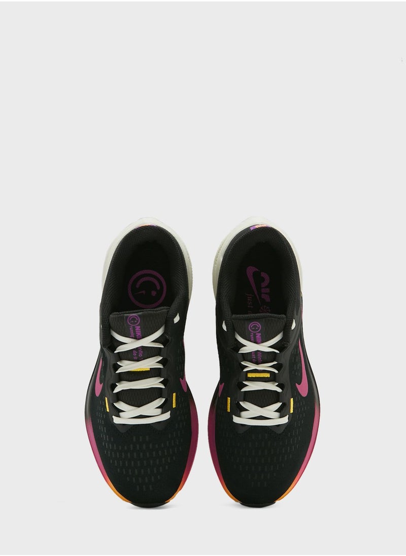 Nike - Air Winflow 10 - Image 1