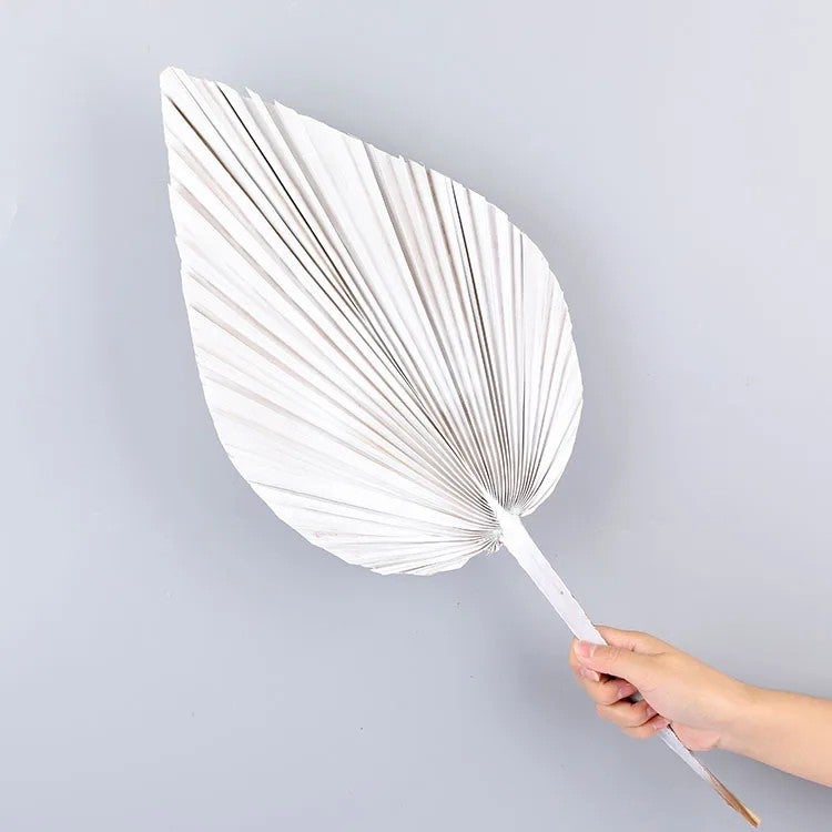 Y&D Fan Palm Leaf Dried Flower Bouquet - Preserved Wedding Decoration, Rustic Party Decor with Natural Dried Plants - Image 1