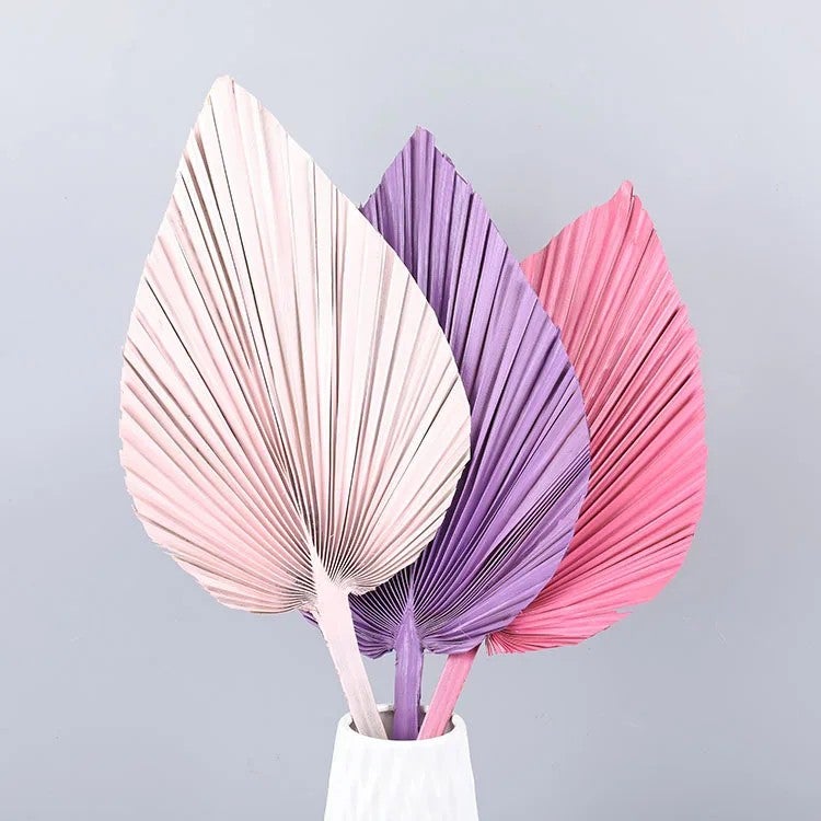 Y&D Fan Palm Leaf Dried Flower Bouquet - Preserved Wedding Decoration, Rustic Party Decor with Natural Dried Plants - Image 4