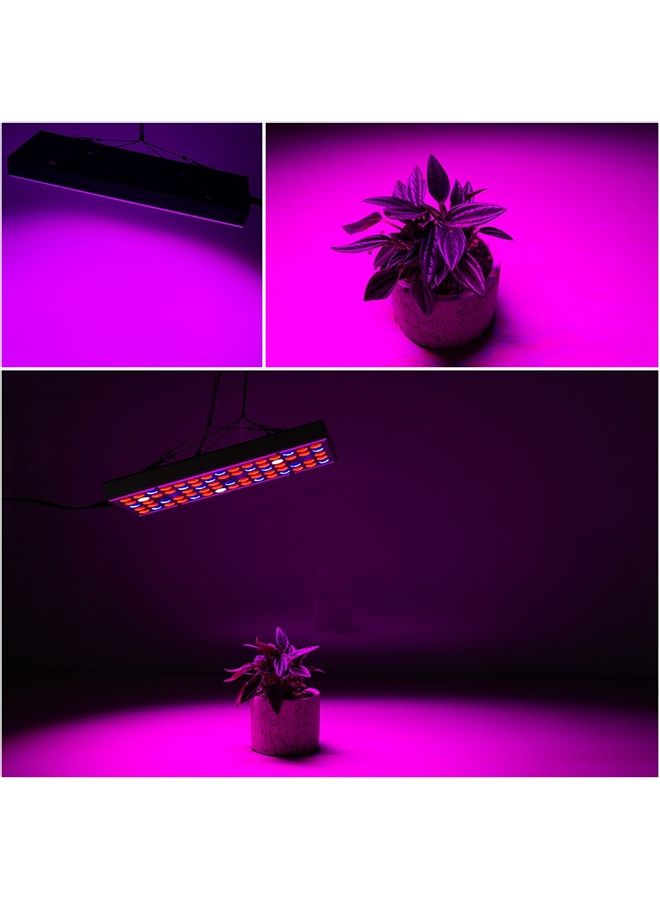 إسكدنيا مصباح LED كامل الطيف للنباتات متعدد الألوان 35 x 13 x 3Ø³Ù†ØªÙŠÙ…ØªØ± - Image 3