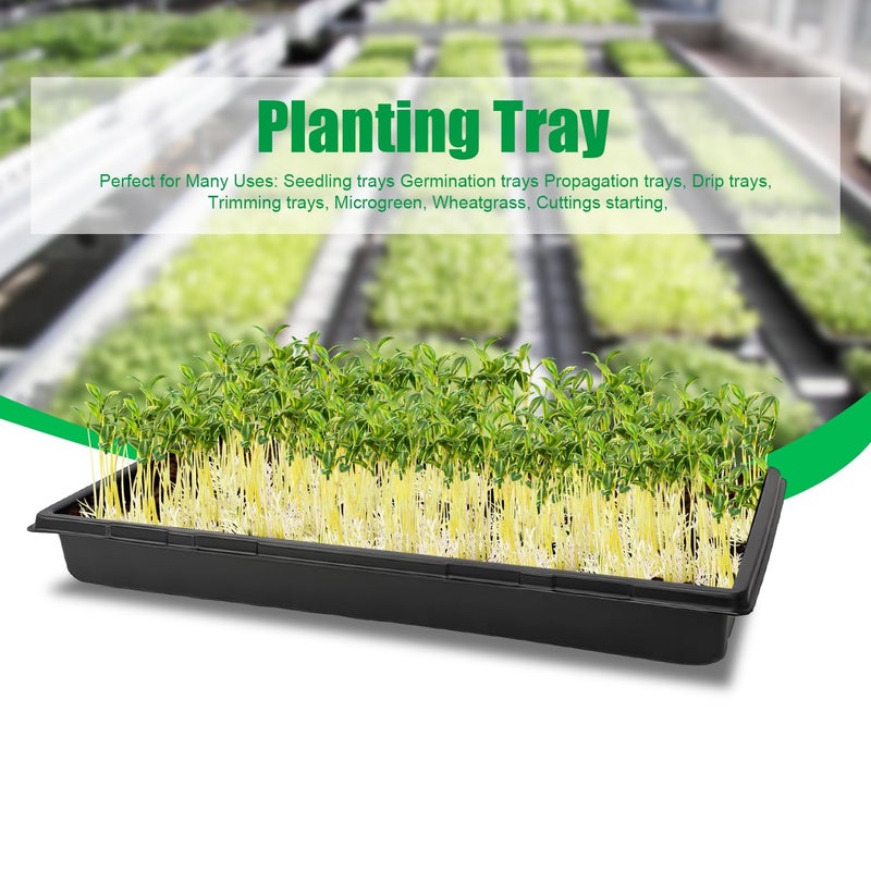 RooTrimmer 20 Pack 1020 Trays, No Drain Holes, 20" x 10", Extra Thick Heavy Duty Seed Starting Trays -Reusable Propagation Flats for Microgreens, Seedlings, Plant Germination, Fodder and Transplant - Image 5